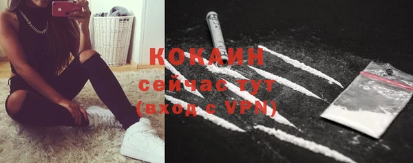 стаф Бронницы