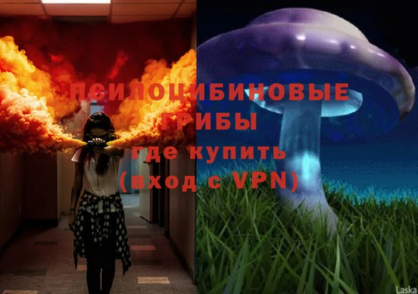стаф Бронницы