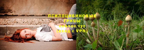 jwh Бородино