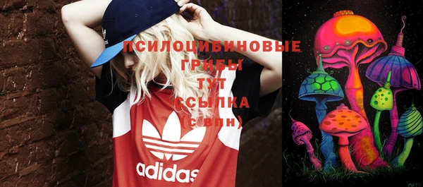 стаф Бронницы