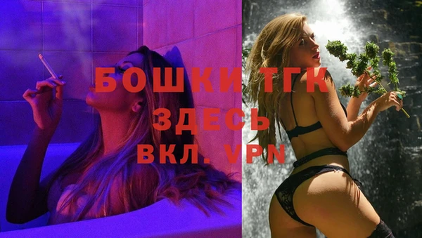 стаф Бронницы