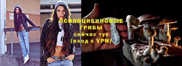 jwh Бородино