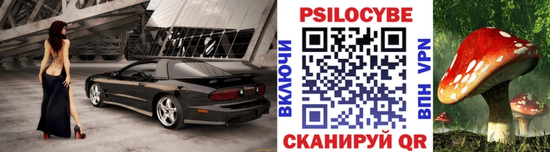 Галлюциногенные грибы прущие грибы  Гвардейск 
